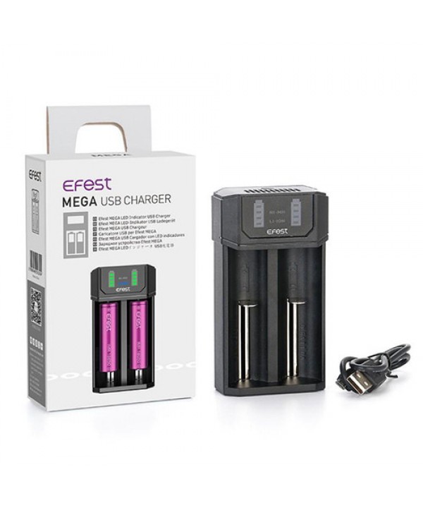Efest Mega USB Charger | 2-bay