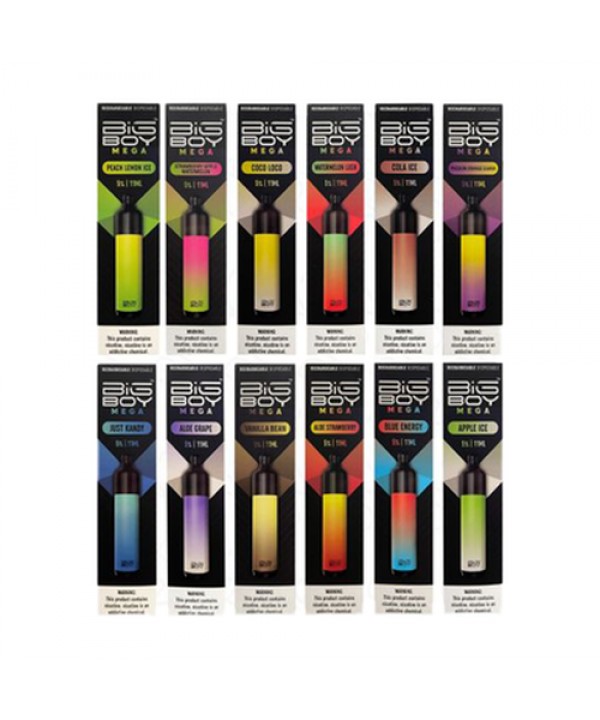 Big Boy Mega Rechargeable Disposable | 5000 Puffs | 11mL